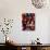 Peruvian Rug and Native Woman in Hat, Aguas Calientes, Peru-Cindy Miller Hopkins-Photographic Print displayed on a wall