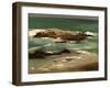 Pescadero I-Sheila Finch-Framed Art Print