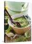 Pesto with Olive Oil in Small Bowl, Basil, Parmesan-null-Stretched Canvas