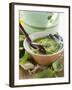 Pesto with Olive Oil in Small Bowl, Basil, Parmesan-null-Framed Photographic Print