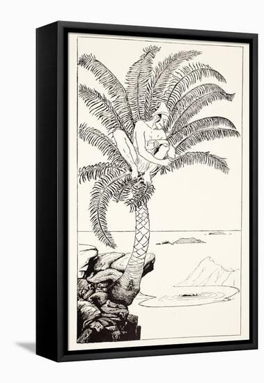Pestonjee Bomonjee Sitting in His Palm-Tree and Watching the Rhinoceros Strorks Bathing-Rudyard Kipling-Framed Stretched Canvas