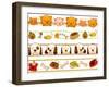 Pet Borders-lenm-Framed Art Print