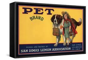 Pet Brand - San Dimas, California - Citrus Crate Label-Lantern Press-Framed Stretched Canvas