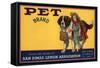 Pet Brand - San Dimas, California - Citrus Crate Label-Lantern Press-Framed Stretched Canvas