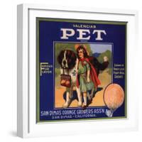 Pet Brand - San Dimas, California - Citrus Crate Label-Lantern Press-Framed Art Print