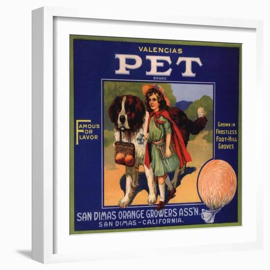 Pet Brand - San Dimas, California - Citrus Crate Label-Lantern Press-Framed Art Print