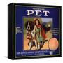 Pet Brand - San Dimas, California - Citrus Crate Label-Lantern Press-Framed Stretched Canvas