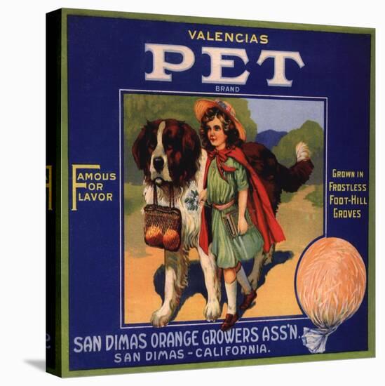 Pet Brand - San Dimas, California - Citrus Crate Label-Lantern Press-Stretched Canvas