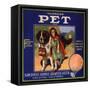 Pet Brand - San Dimas, California - Citrus Crate Label-Lantern Press-Framed Stretched Canvas