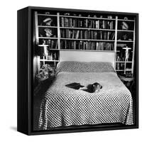 Pet Cat Sitting on Bed of Author Dorothy Parker-null-Framed Stretched Canvas