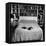 Pet Cat Sitting on Bed of Author Dorothy Parker-null-Framed Stretched Canvas