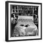 Pet Cat Sitting on Bed of Author Dorothy Parker-null-Framed Photographic Print