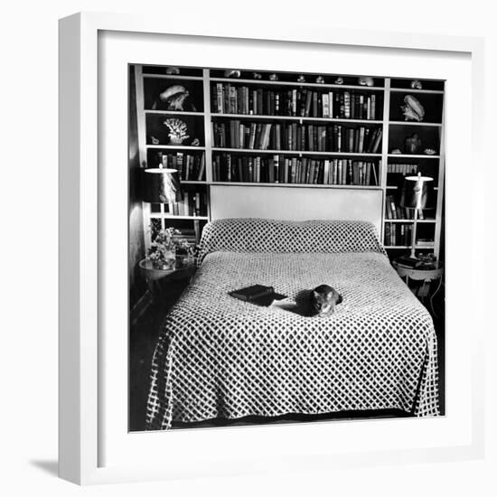 Pet Cat Sitting on Bed of Author Dorothy Parker-null-Framed Photographic Print