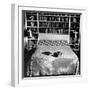 Pet Cat Sitting on Bed of Author Dorothy Parker-null-Framed Photographic Print