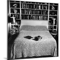 Pet Cat Sitting on Bed of Author Dorothy Parker-null-Mounted Photographic Print