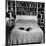 Pet Cat Sitting on Bed of Author Dorothy Parker-null-Mounted Photographic Print