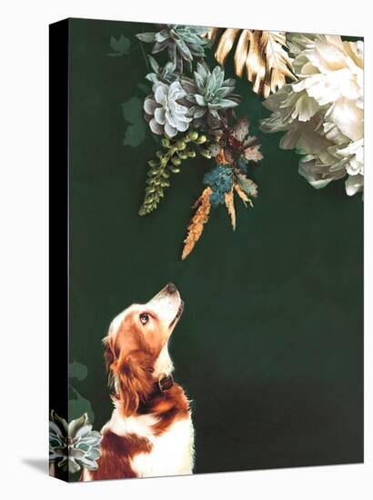 Pet Couture 1-Design Fabrikken-Stretched Canvas