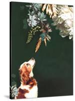 Pet Couture 1-Design Fabrikken-Stretched Canvas