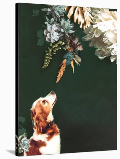 Pet Couture 1-Design Fabrikken-Stretched Canvas