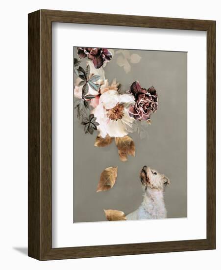 Pet Couture 2-Design Fabrikken-Framed Art Print