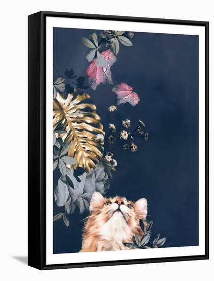Pet Couture 3-Design Fabrikken-Framed Stretched Canvas
