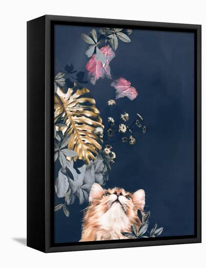 Pet Couture 3-Design Fabrikken-Framed Stretched Canvas