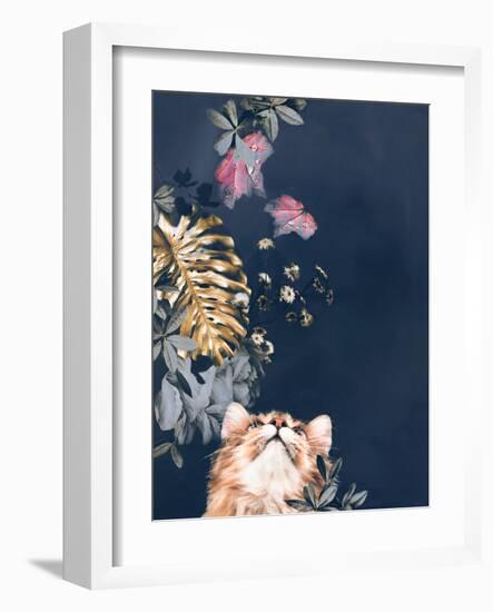 Pet Couture 3-Design Fabrikken-Framed Art Print