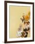 Pet Couture 4-Design Fabrikken-Framed Art Print