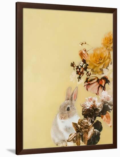 Pet Couture 4-Design Fabrikken-Framed Art Print