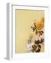 Pet Couture 4-Design Fabrikken-Framed Art Print