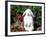 Pet Domestic Holland Lop Eared Rabbit-Lynn M. Stone-Framed Photographic Print