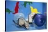 Pet Ferrets in Play Area-null-Stretched Canvas