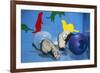 Pet Ferrets in Play Area-null-Framed Photographic Print