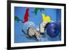 Pet Ferrets in Play Area-null-Framed Photographic Print