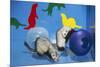 Pet Ferrets in Play Area-null-Mounted Photographic Print