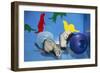 Pet Ferrets in Play Area-null-Framed Photographic Print