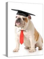 Pet Graduation - English Bulldog Wearing Graduation Cap And Red Tie-Willee Cole-Stretched Canvas