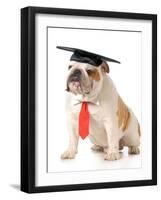 Pet Graduation - English Bulldog Wearing Graduation Cap And Red Tie-Willee Cole-Framed Photographic Print