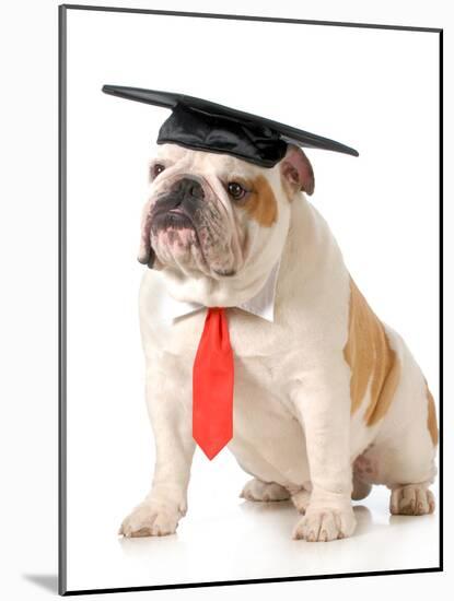 Pet Graduation - English Bulldog Wearing Graduation Cap And Red Tie-Willee Cole-Mounted Photographic Print