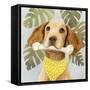 Pet Life III-Victoria Borges-Framed Stretched Canvas