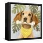 Pet Life III-Victoria Borges-Framed Stretched Canvas