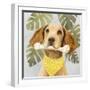 Pet Life III-Victoria Borges-Framed Art Print