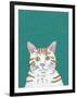 Pet Portraits III-Chariklia Zarris-Framed Art Print