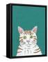 Pet Portraits III-Chariklia Zarris-Framed Stretched Canvas