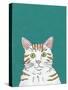 Pet Portraits III-Chariklia Zarris-Stretched Canvas