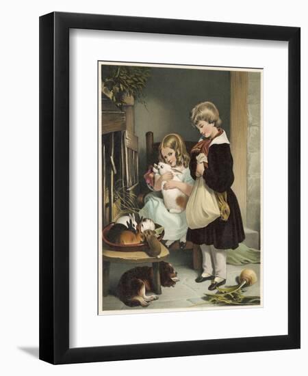 Pet Rabbits-null-Framed Art Print