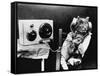 Pet Radio-null-Framed Stretched Canvas