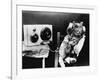 Pet Radio-null-Framed Premium Photographic Print