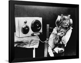 Pet Radio-null-Framed Premium Photographic Print