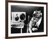 Pet Radio-null-Framed Photographic Print